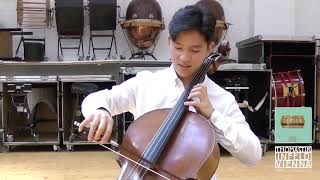 Thomastik Rondo cello strings review [upl. by Hsreh137]