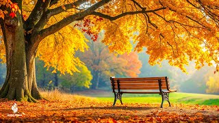 Beautiful Relaxing Music 🍁 Stop Overthinking Stress Relief Music With Autumn Melodie [upl. by Flin]