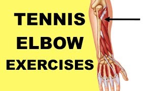 Tennis Elbow Exercises amp Stretches Lateral Epicondylitis Supinator Muscle [upl. by Nylekoorb26]