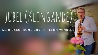 Jubel  Klingande Saxophone House Cover  Leon Winkler [upl. by Licec3]