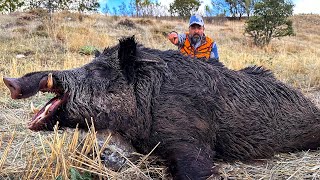 HUNTING the BEAST INCREDIBLE Shots on WILD BOARS EPIC Hunting Scenes [upl. by Leissam]