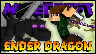 Ender Dragon  Nofaxuland 3 30 Minecraft  Mods 164 [upl. by Bowerman]