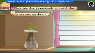 To understand about phototrophic movement plants  Class 10 Biology sciencewallah267 [upl. by Gertrud171]