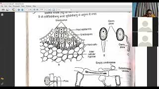 PUCCINIA LIFE CYCLE UREDIAL STAGE  TELIAL STAGE DATED 27TH JANUARY MAHARANI GIRLS COLLEGE JAIPUR [upl. by Leelah407]