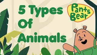 Animal classification for Kids  Mammals Birds Reptiles Amphibians amp Fish  Animal Groups [upl. by Rutherford120]