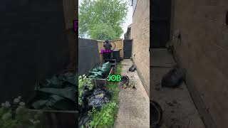 THE MOST PATHETIC BIKE THIEF IN BRITAIN [upl. by Aniluj]