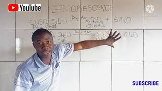 2023 JAMB Chemistry Class What are Efflorescent Compounds in Chemistry Explained [upl. by Eselahc362]