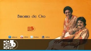 Voz De Acordeones Binomio De Oro  Audio [upl. by Gowrie564]