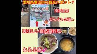 愛知県豊田市の観光スポットをご紹介♪♪ ⏩稲武温泉「どんぐりの湯♨️」と美味しい自然薯料理「とろろ庵」💕 ＃どんぐりの湯 愛知県天然温泉 とろろ庵 自然薯料理 [upl. by Oterol665]