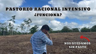 ¿Funciona el Pastoreo Racional Intensivo [upl. by Kcirdnekel]