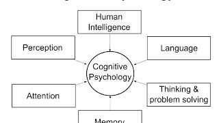 Cognitive Psychology Introduction [upl. by Leahcimal]