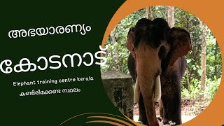 Kodanad elephant 🐘 training centreഅഭയാരന്യം [upl. by Shoifet]