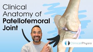 Clinical Anatomy of Patellofemoral Joint  Expert Physio Guide [upl. by Asatan]