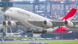 20 MINUTES of HEAVY TAKEOFFS and LANDINGS at SYDNEY AIRPORT Australia SYDYSSY [upl. by Rosenkrantz]