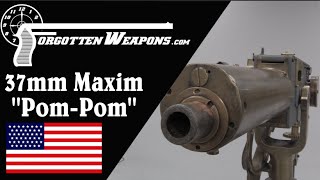 Maxim PomPom 37mm Machine Gun [upl. by Yeliab]