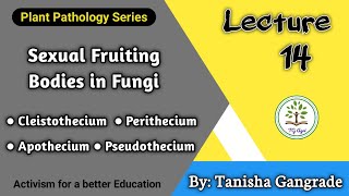 Sexual Fruting Bodies  Sexual Fruting Bodies of Fungi  Sexual Reproduction by Tanisha Gangrade [upl. by Anaerda]