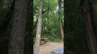 Chickasaw National Recreation Area nature foresthikes outdoors4adventure waterfalls summer [upl. by Noyrb843]