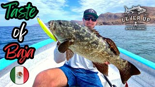 Fishing Baja Mexico CASTING for BIG GROUPER  EPIC Cabrilla amp Yellowtail  Sea of Cortez [upl. by Notnef]