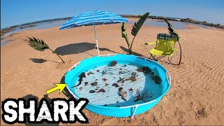 DIY Saltwater Fish Pond At The Beach With A Shark [upl. by Alael]