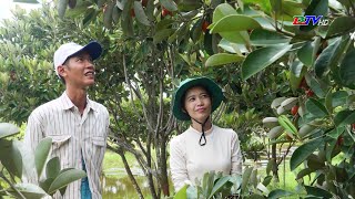 Trái diết  hương vị độc lạ của vùng quê Vĩnh Trạch Đông [upl. by Lamrert]