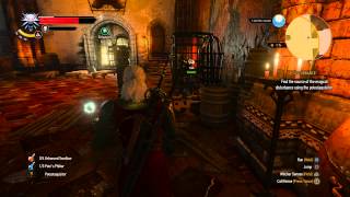 The Witcher 3  Disturbance Find Magical Disturbance Dimeritium Potestaquisitor Gameplay [upl. by Yecnahc630]