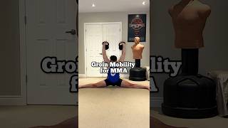 How to Improve Groin Mobility for MMA martialarts [upl. by Derwon]