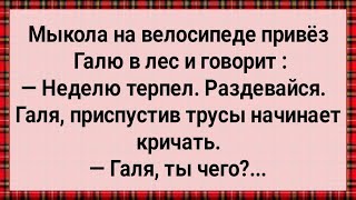 Как Мыкола в Лес Галю Возил Сборник Свежих Анекдотов Юмор [upl. by Oinafipe]