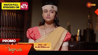 Ardhangi  Promo  05 August 2024  Telugu Serial  Gemini TV [upl. by Jurgen]