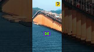 🌉👉Curiosidades sobre a Ponte RioNiterói curiosidades ponterioniteroi curiosidadesvarias [upl. by Bergess]