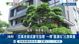 百萬老樹成豪宅指標 400歲quot日本黑松quot飄洋來台比跑車貴 豪宅建商擁自己樹木銀行 興起quot買地囤樹quot風氣│記者 凌毓鈞 顧元松│【消費報你知】20240420│三立新聞台 [upl. by Arvind]