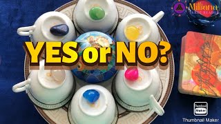 YES or NO Coffee Cup Reading Tarot Reading Timeless [upl. by Otilopih209]