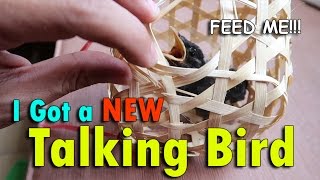 OMG I GOT A NEW TALKING BIRD  May 15th 2017  Vlog 115 [upl. by Dix]