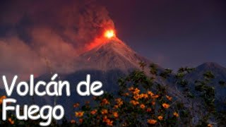 Exploring the Mighty Volcán de Fuego Guatemalas Fiery Giant [upl. by Durware90]