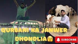 Asia Ki Sabse Bari Mandi Se Qurbani K Lye Janwer Lelia ❤️ [upl. by Hoag]