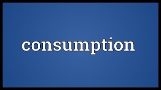 Consumption Meaning [upl. by Ettesus]