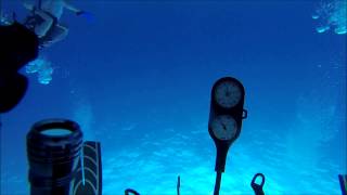 Paradise Reef Dive  Cozumel MX  GoPro Hero3 Black [upl. by Modesty]