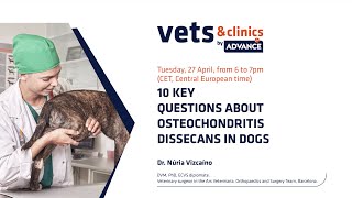 4 INT  10 Key Questions about Osteochondritis Dissecans in Dogs [upl. by Ozzie940]