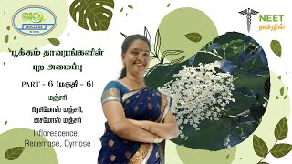 Morphology of Flowering plants  Part 6  Inflorescence  Racemose  Cymose  NEET Tamil  Biology [upl. by Yajeet]