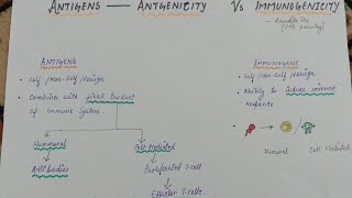 Antigens vs Immunogens vs Haptens  Immunology by Anandita Jha  Antigenicity And Immunogenicity [upl. by Butcher]