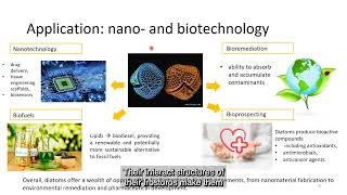 Incredible Diatoms  OxygenProducers SiliconHunters and CarbonKeepers [upl. by Manley]