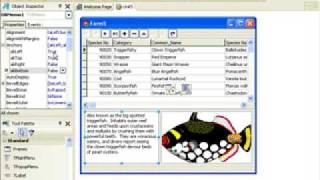 Delphi Programming Tutorial 24  DBGrid OnDrawColumnCell [upl. by Cynar]