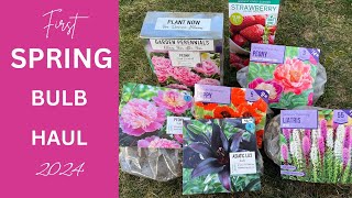 My First Spring Garden Bulb Haul [upl. by Austina]