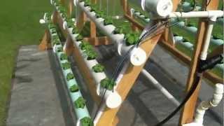 Homemade vertical AFrame hydroponic system Facebook httpswwwfacebookcomgreenerways [upl. by Durrace]