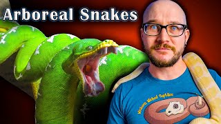 Top 5 Arboreal Snakes That Make GREAT Pets [upl. by Ayram]