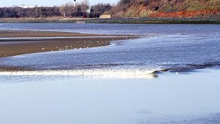 River Mersey – when the tide with bore comes in at Widnes Feb 2019 [upl. by Yrahca]