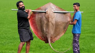 60 Kg Giant StingRay In Mud Hole  തിരണ്ടി ചുട്ട് കറിവെച്ചപ്പോൾ  M4 Tech [upl. by Dhiman]