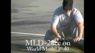 MLD28 gas engine on World Model P40 Warhawk short [upl. by Calendra]