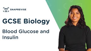 Blood Glucose and Insulin  91 GCSE Science Biology  OCR AQA Edexcel [upl. by Eninaej]