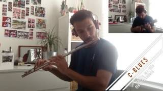 Altered Scale in C BLUES  fluteUkulele melodic minor modes [upl. by Luas]