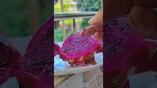 Cactus dragon fruit er seed theke gach kivabe lagabo dekho 🌵🥝 shorts cactus minivlog [upl. by Cad]